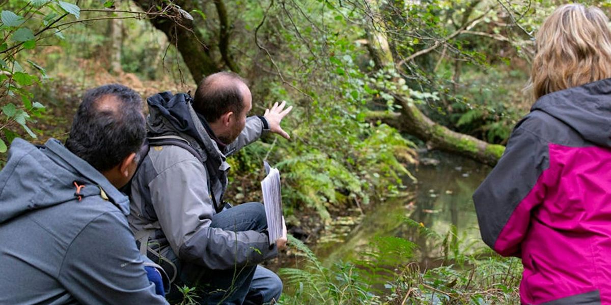 Autumn Bird ID Course with Ed Drewitt