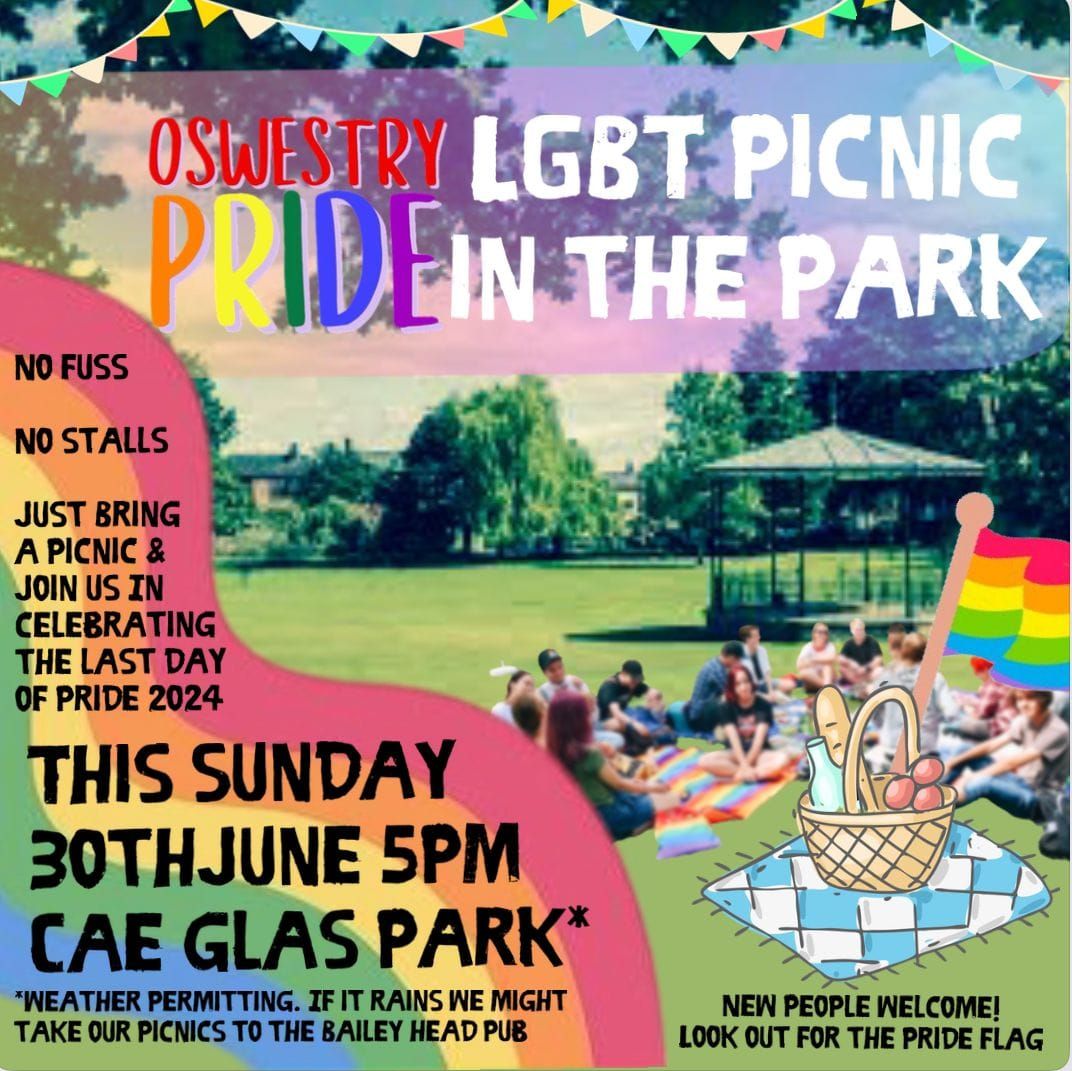 LGBTQ+ Picnic in the Park - celebrate the close of pride month!  