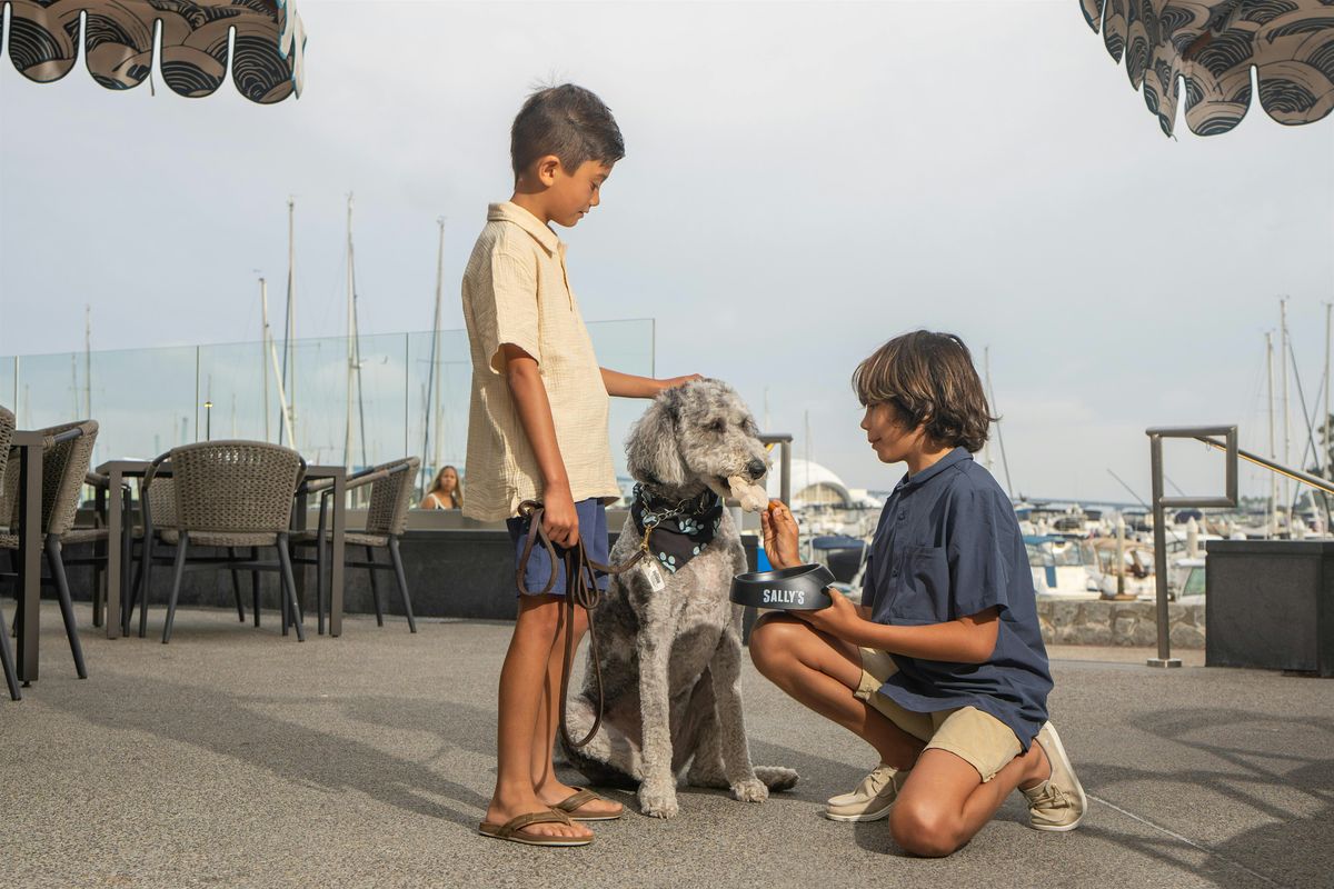 Sally's Paws on the Patio - Spooky Edition!