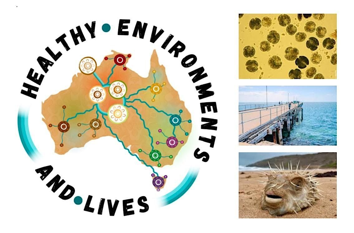 Public Health Impacts of the 2025 Harmful Algal Bloom