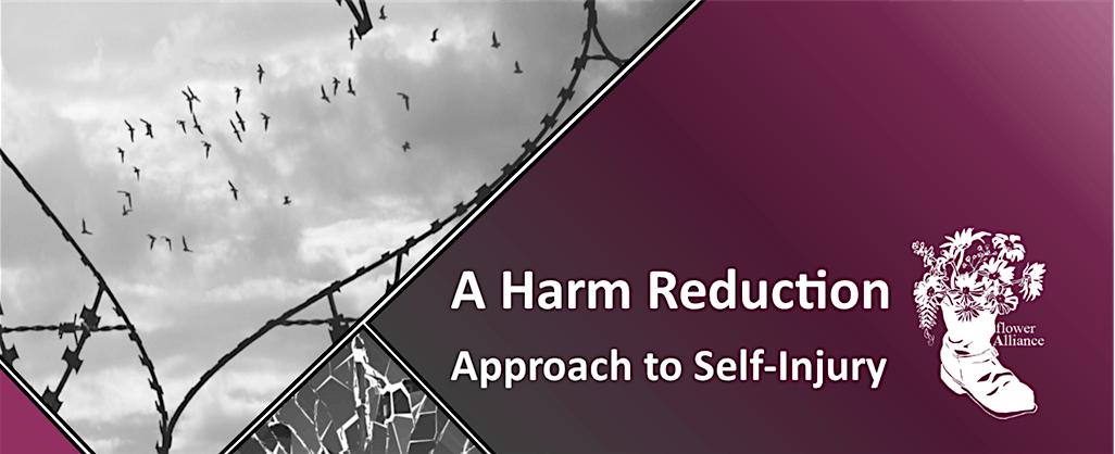 Harm Reduction Approach to Self-Injury (Jan '25)