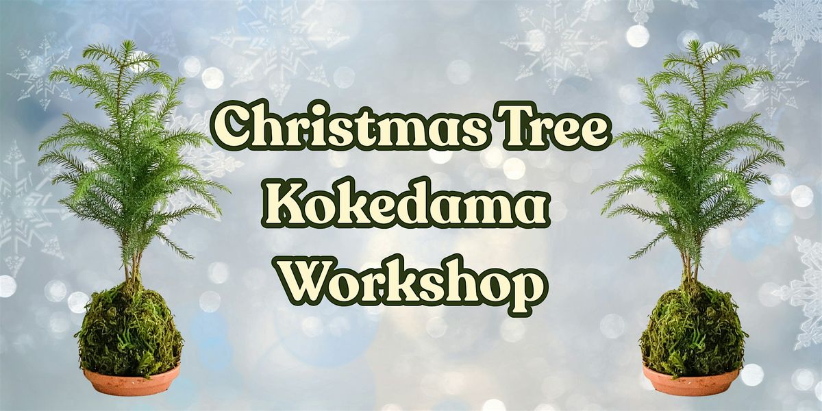 Christmas Tree Kokedama Workshop