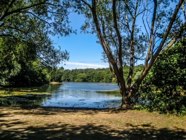 Monthly Walk - Belhus Country Park