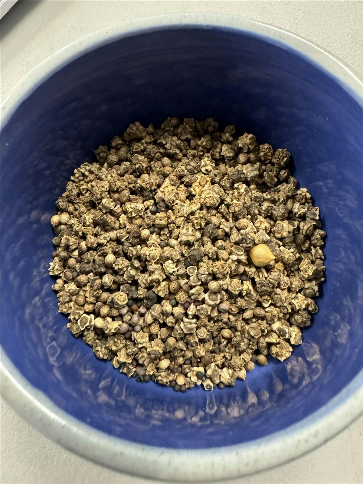 Fall Vegetable Seed Starting Workshop