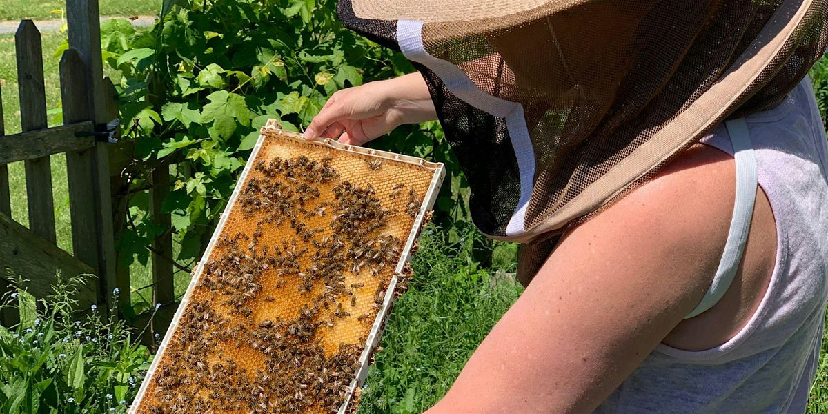 Complete Beekeeping Course Fall