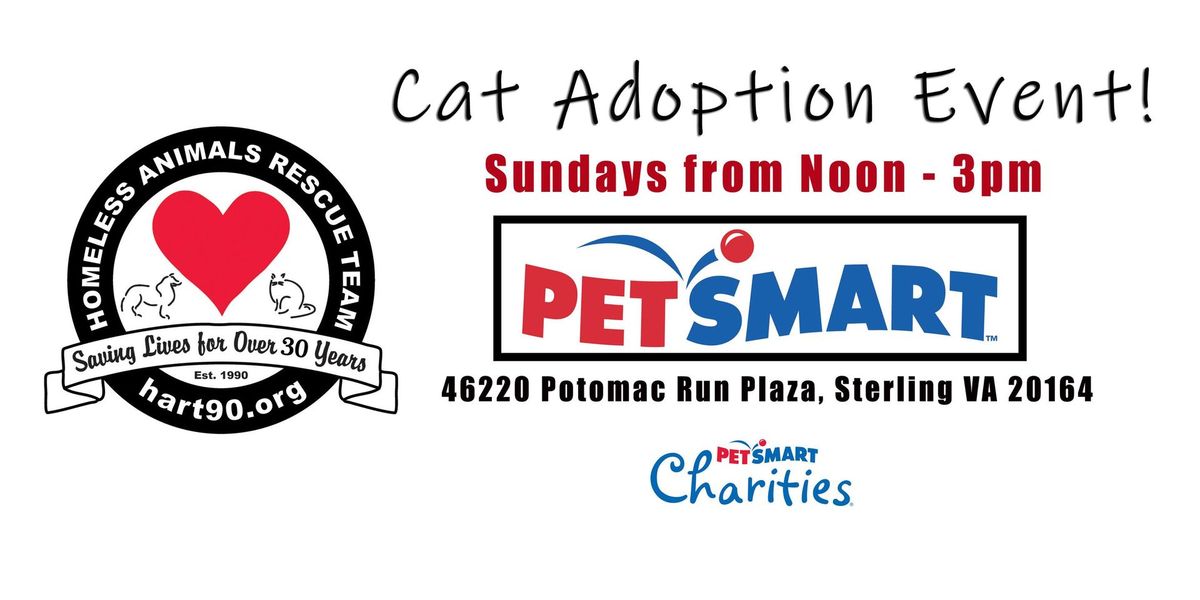 Cat Adoption Event