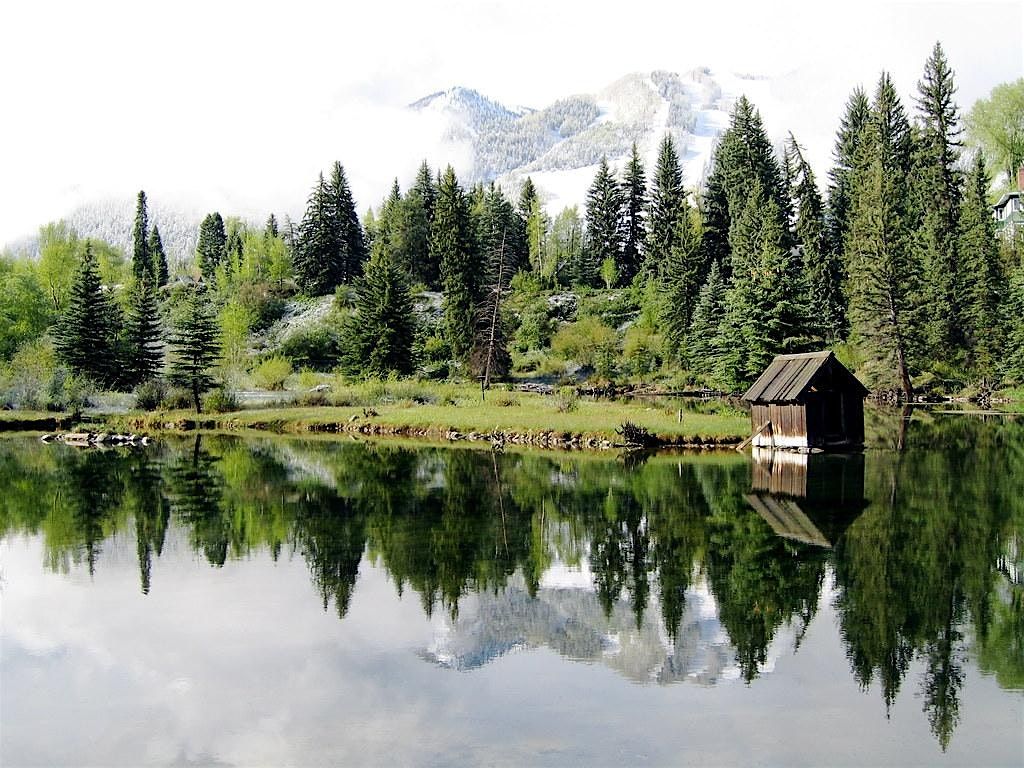 In the Wild: Artist Assembly at ACES Hallam Lake
