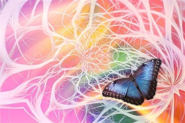 Self-Help With The Vagus Nerve