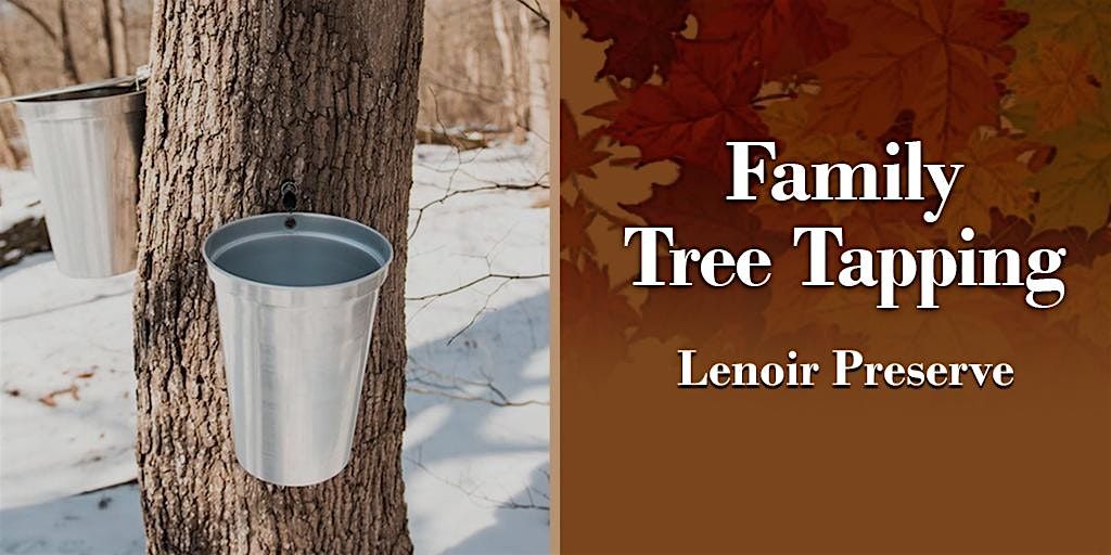 Family Maple Tapping