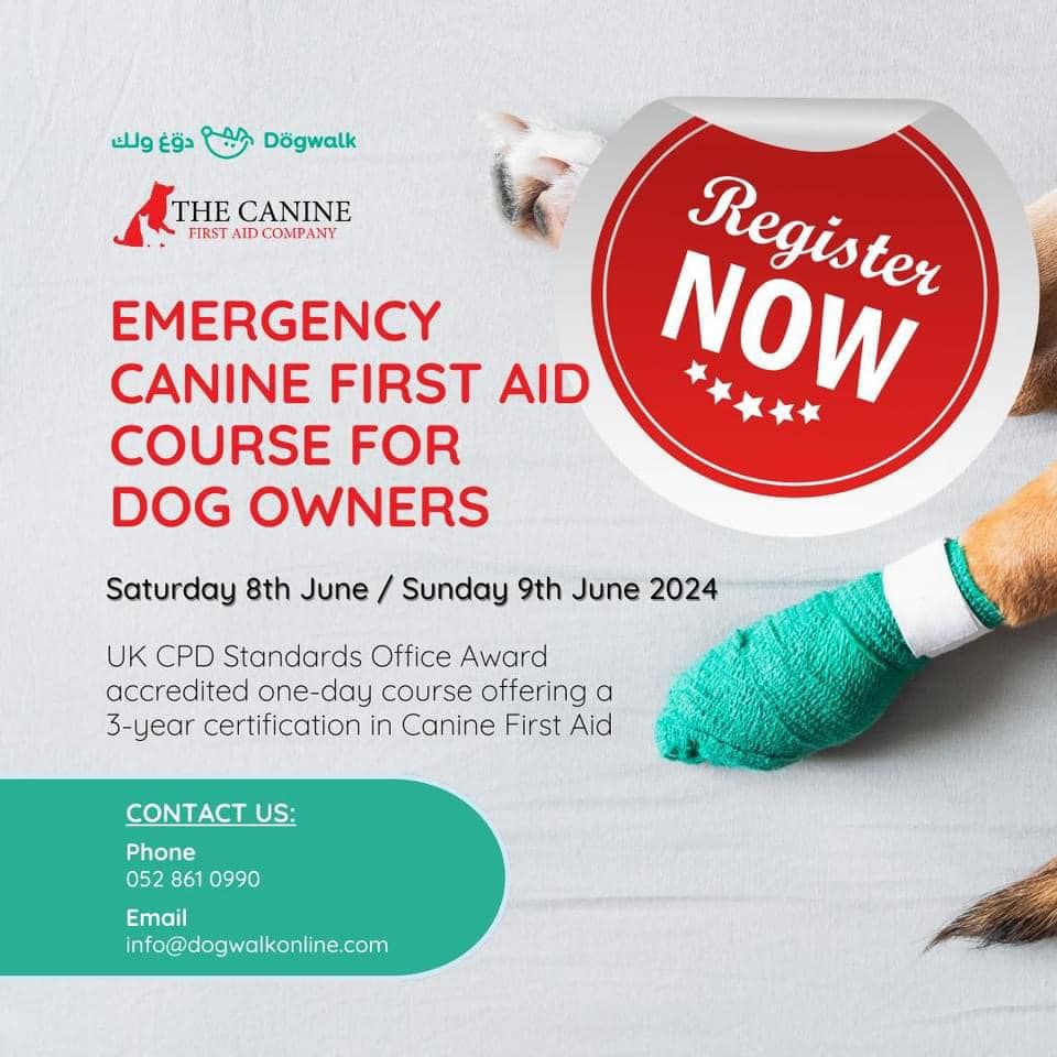 Canine First Aid Course 2024
