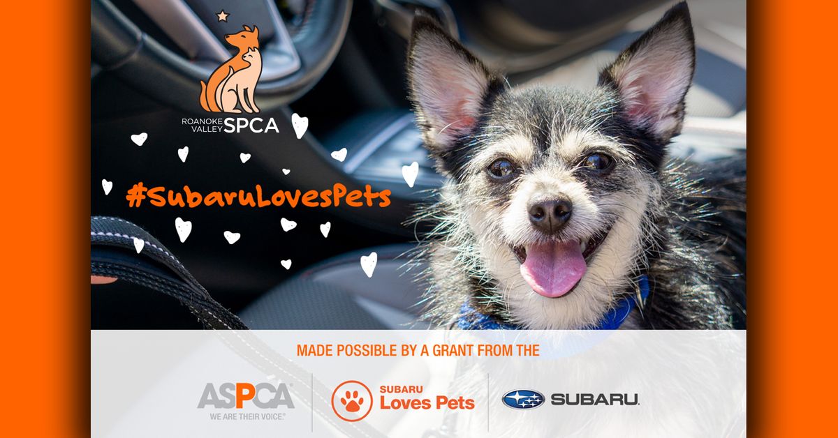 Subaru Loves Pets FREE Vaccine Clinic