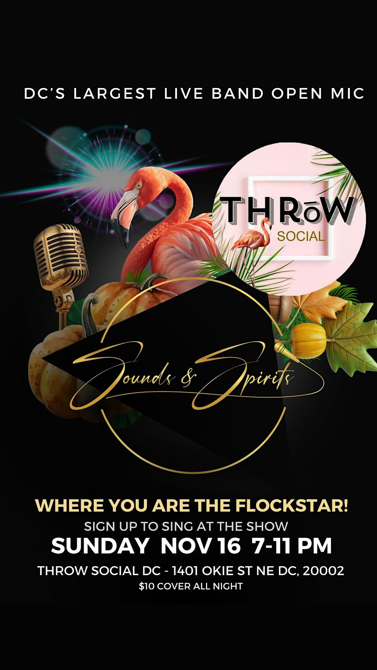 Sounds & Spirits November  2025 - Live Band Open Mic