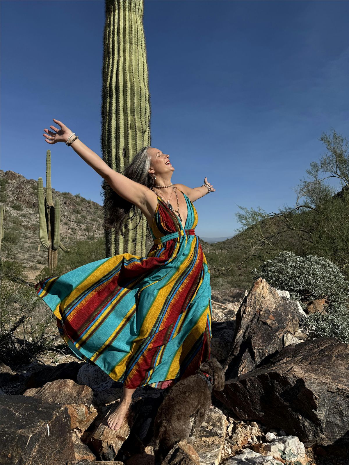 Meditation & Movement Workshop