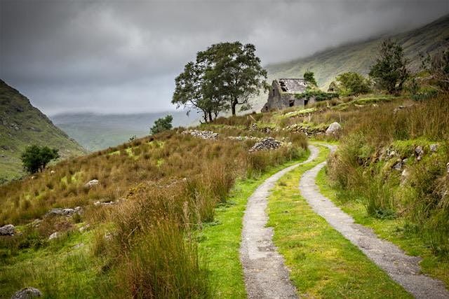 On the Rocky Road - Irish Storytelling by Will Hornyak