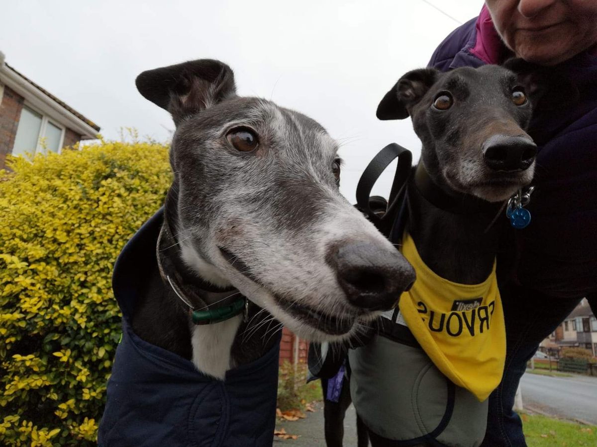 Cannock Chase Tweet Up 