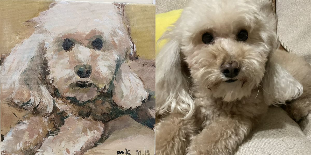 PAINT YOUR PET (ONE PET)