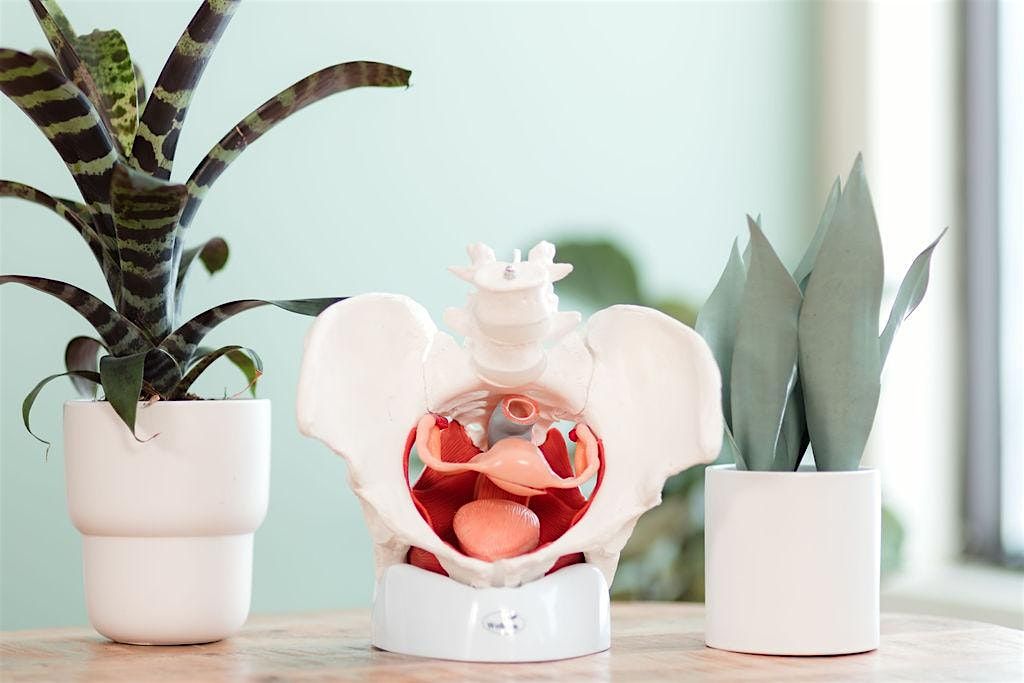Bowel, Bladder & Bedroom Bliss - Women's Wellness Workshop