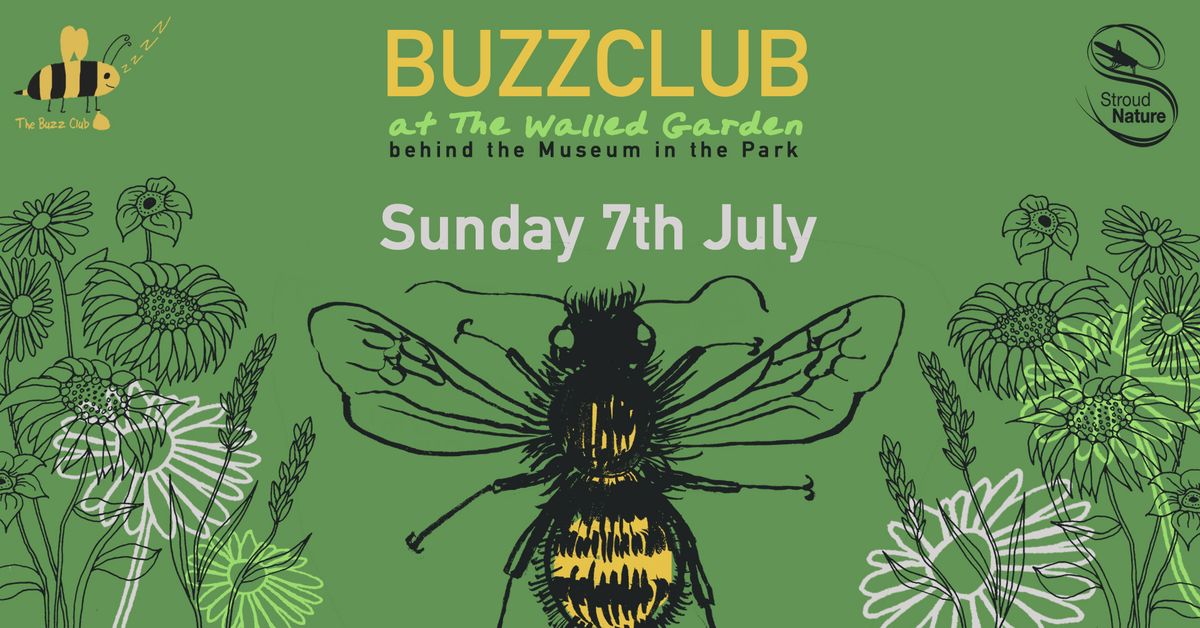 Stroud BuzzClub Monthly Meeting - The Red Mason Bee with Ron