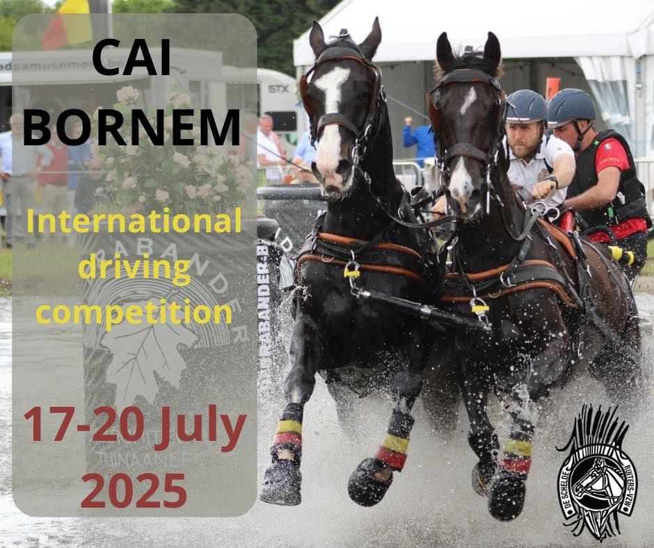 CAI BORNEM 2025 