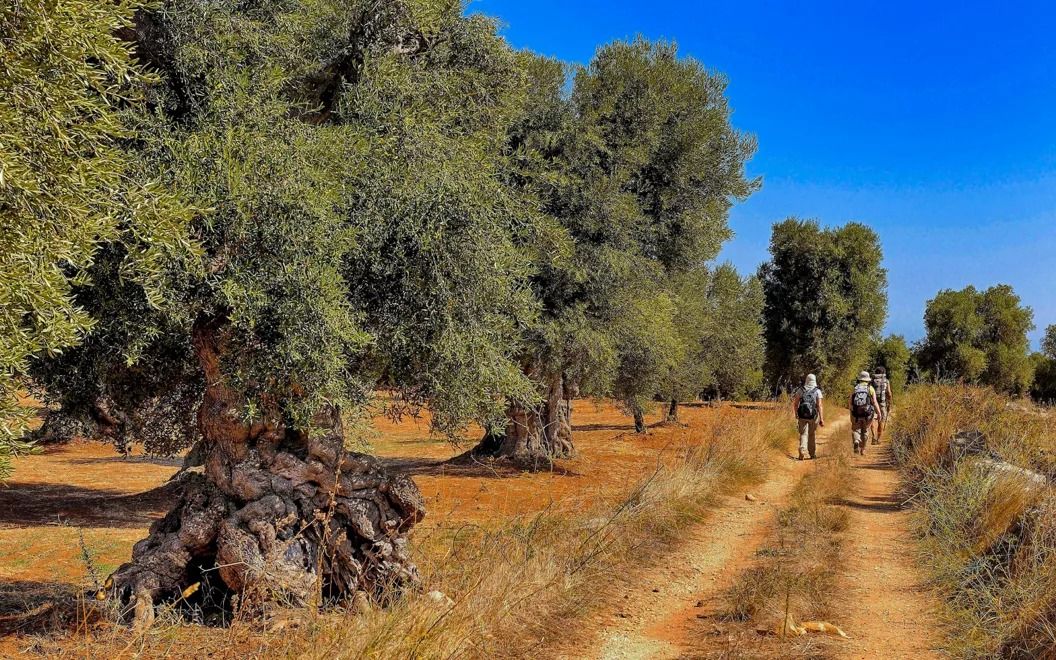 ARMONIE DI OLI IN TREKKING