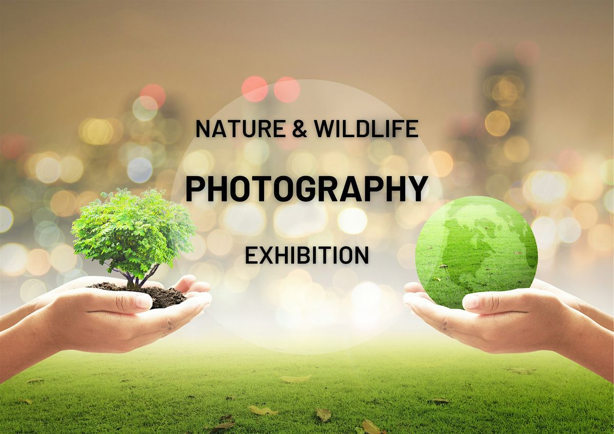 Nature & Wildlife Photography Exhibition Launch\/Arddangosfa natur a ffotogr