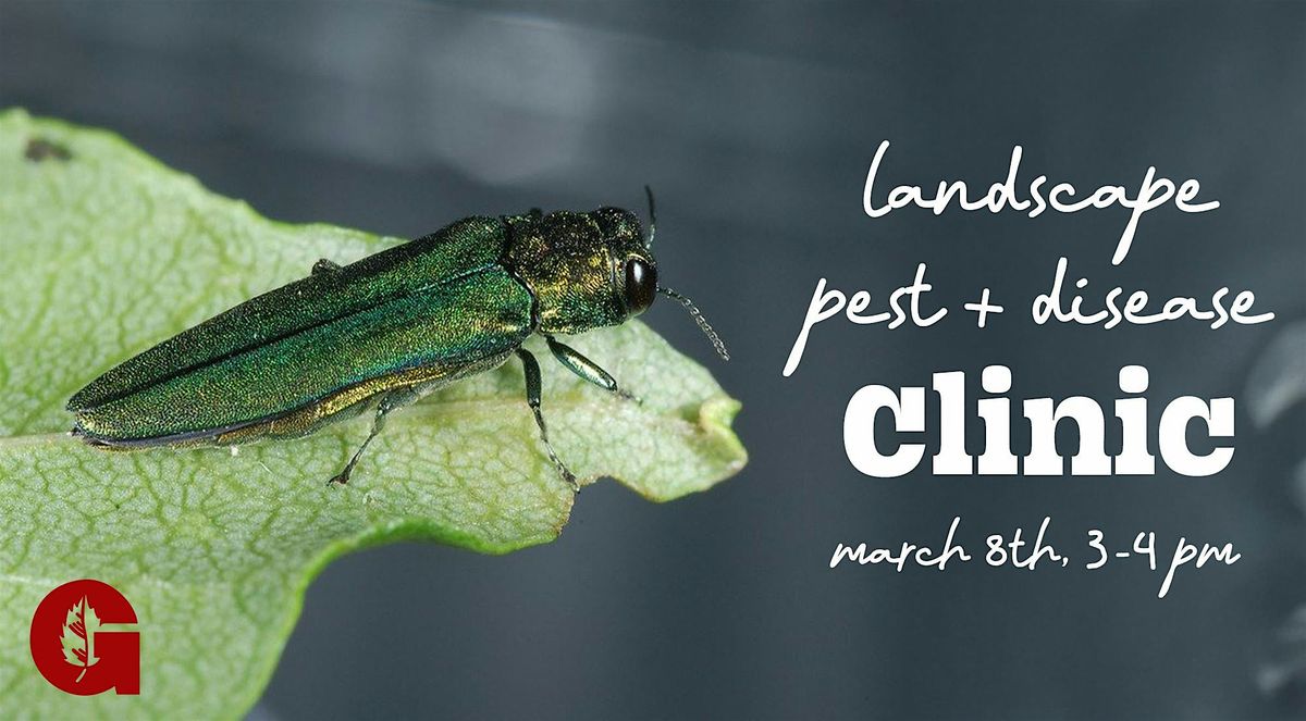 Landscape Pest and Disease Clinic