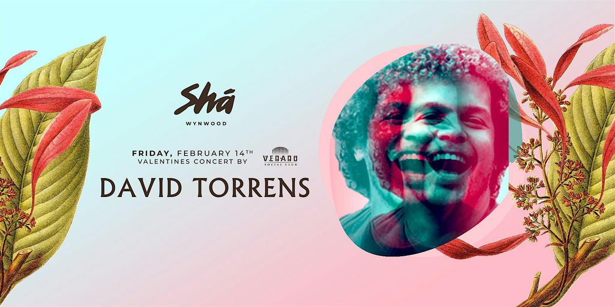 David Torrens (Valentines Concert)