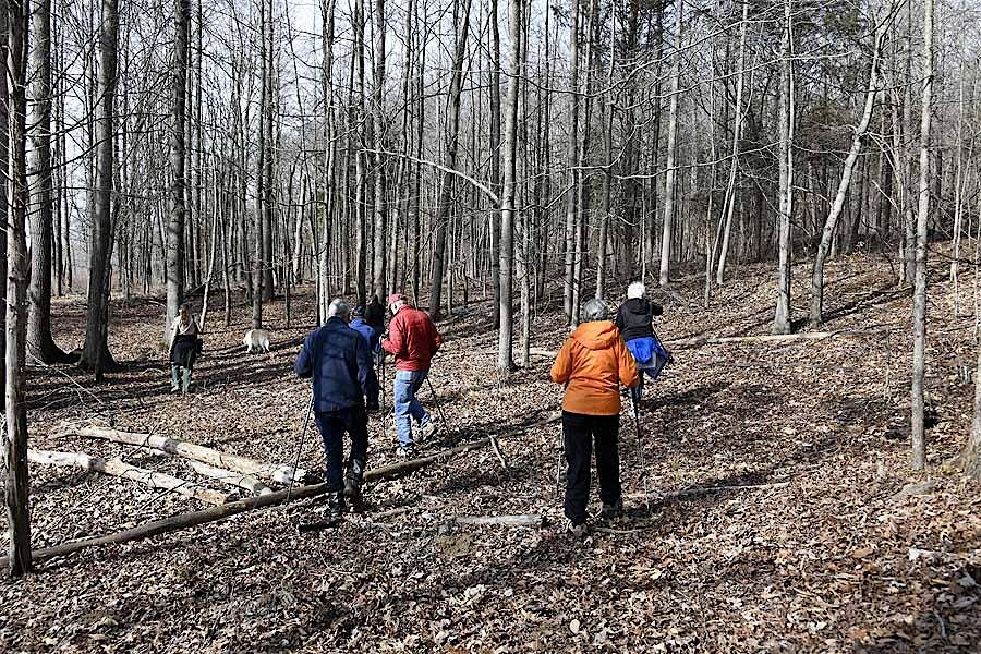 Winter Exploration Hike