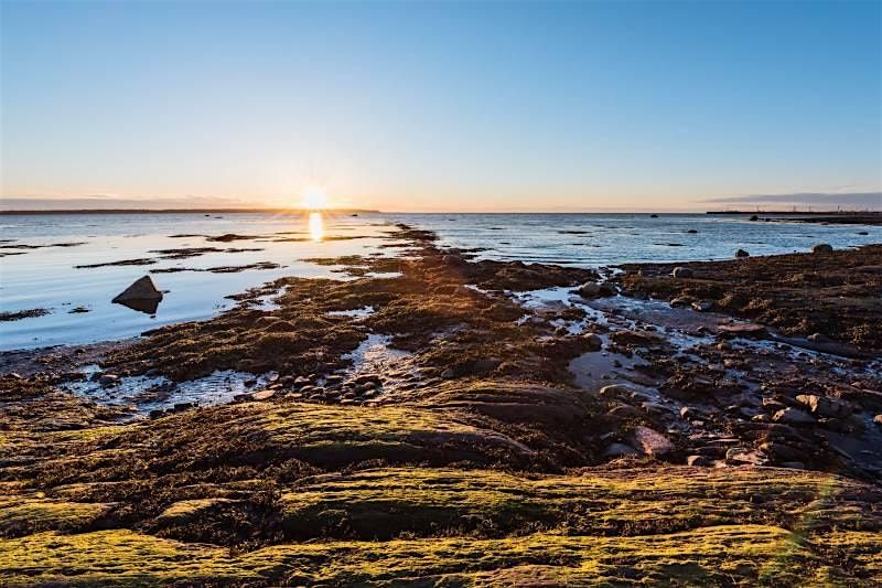 Rimouski Scavenger Hunt: Rimouski Riddles & Revelations