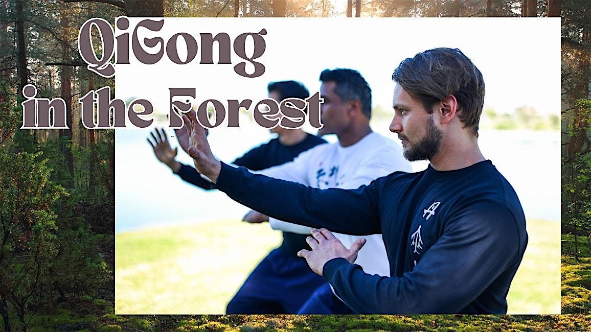 Qigong in the Forest