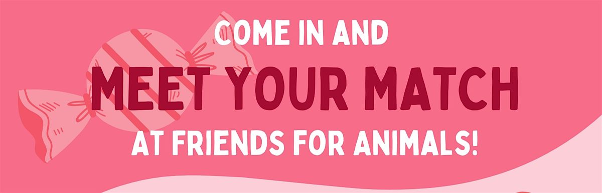 "Meet Your Match" Valentines Adoption Event