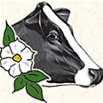 BC Holstein Branch