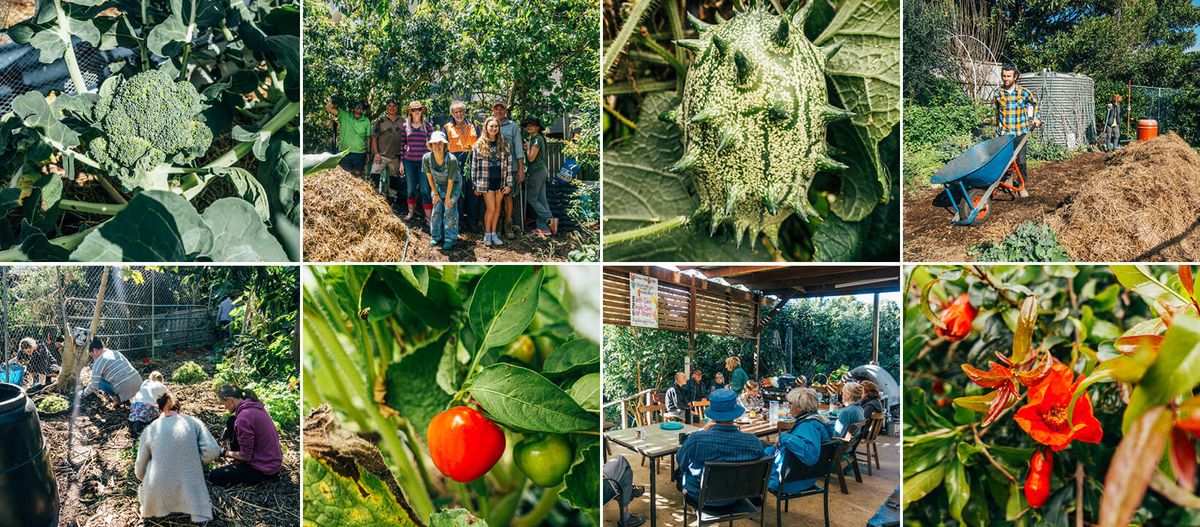 Kiama Community Garden Open Day