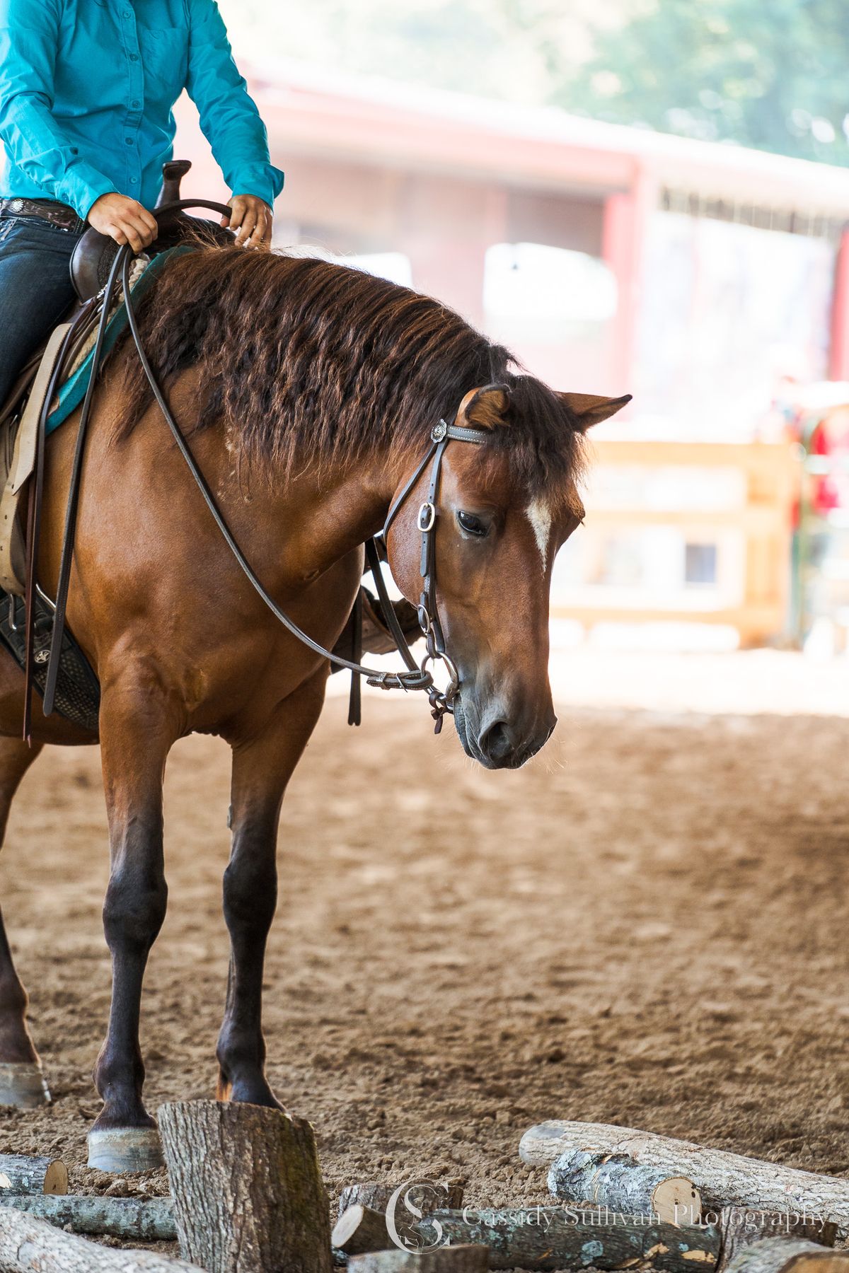 Confidence With Obstacles Mini Clinic