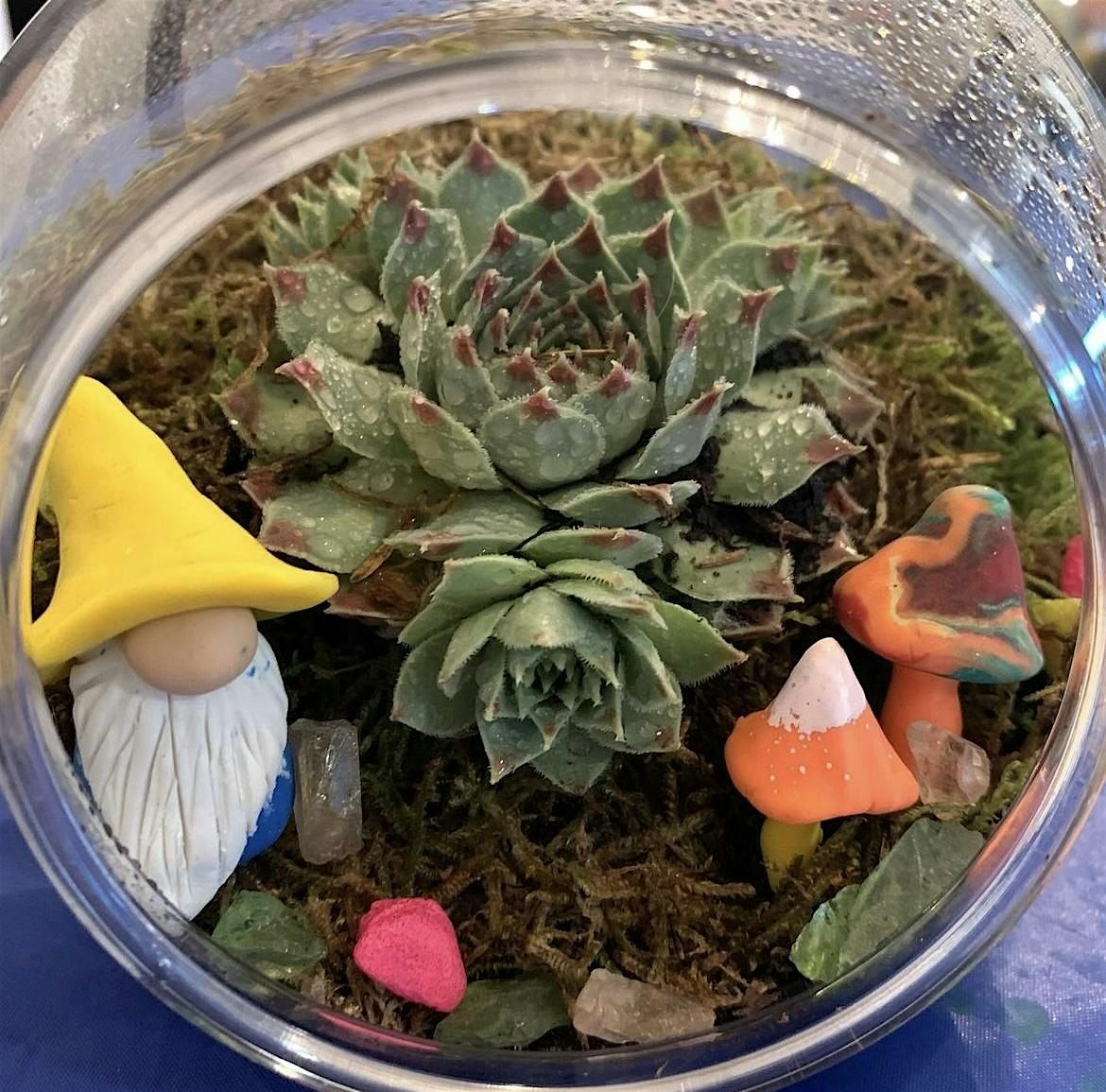 Creative Teens: Gnomes & Terrariums