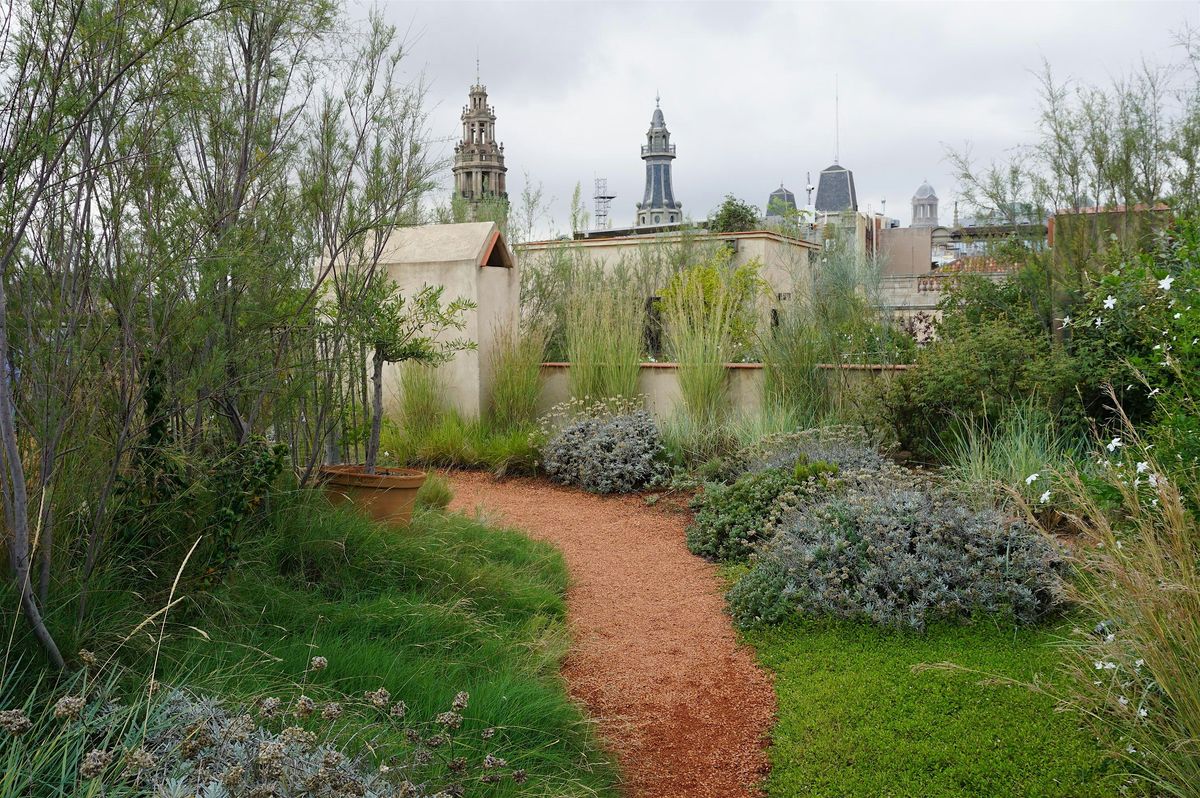 HOW CAN GREEN ROOFS SHAPE THE CITIES OF TOMORROW?