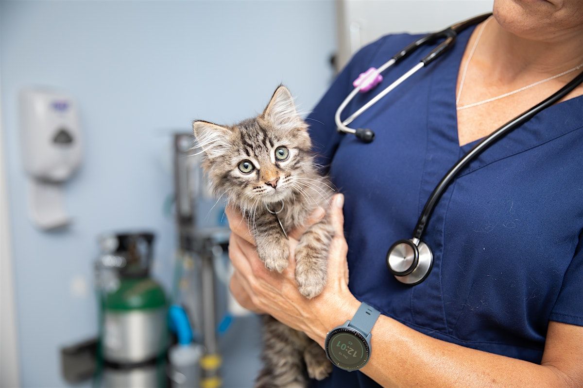 Best Friends Walk-in Pet Vaccination and Microchip Clinic