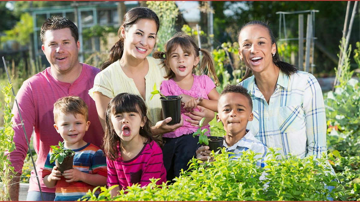 Garden-to-Kitchen: West Tampa Family-Friendly Garden Fun!