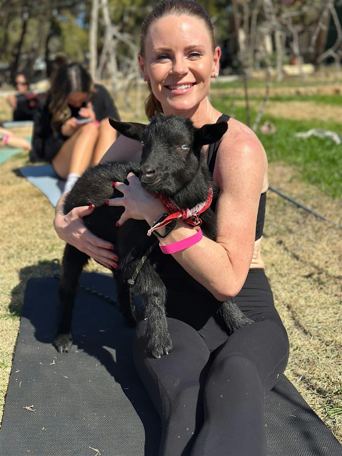 Autumn Apples and Goat Yoga