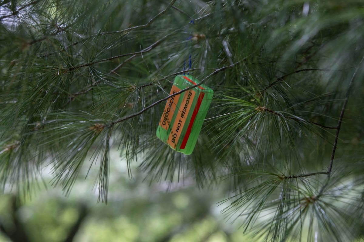 Geocaching Adventure