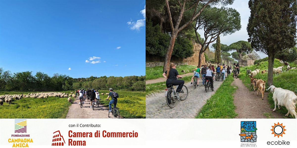 e-Bike Tour - Trust-Turismo rurale e urbano sostenibile