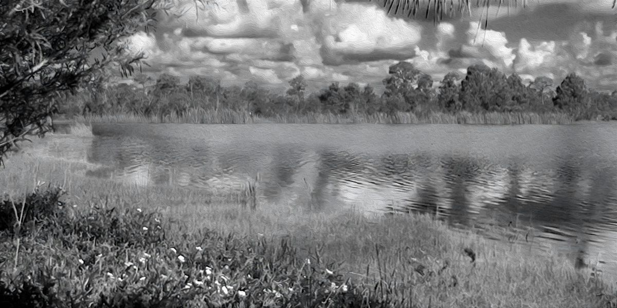 FIELD TRIP: Lake Indrio Preserve