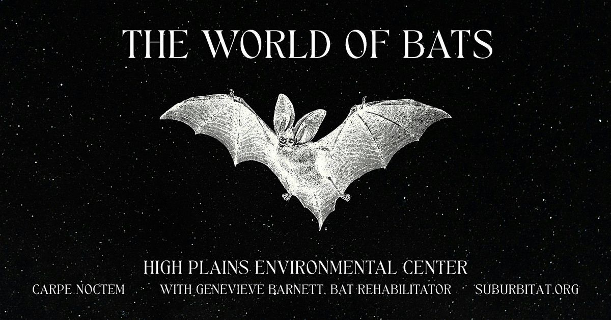 The World of Bats