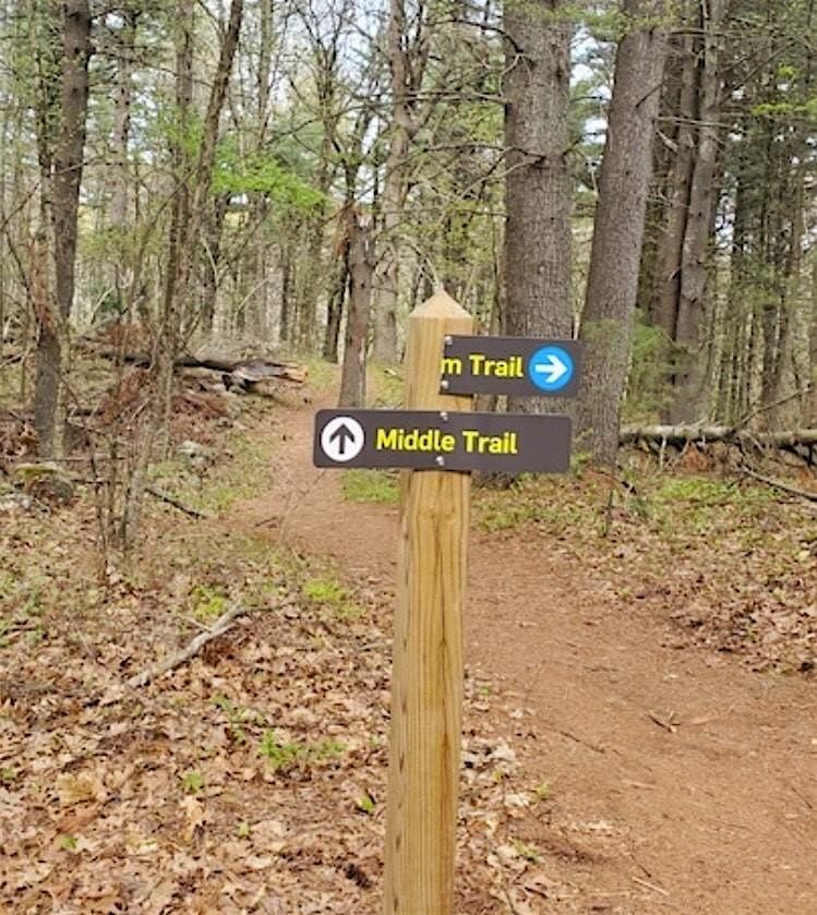 Ward Reservation boardwalk project! Part 1, Friday 11\/14\/25