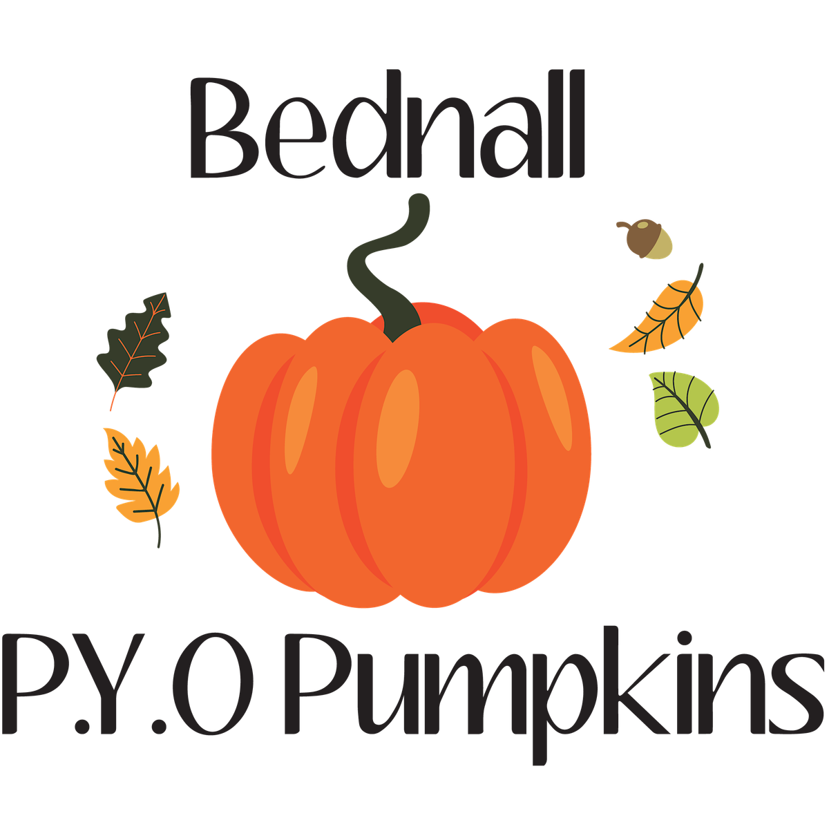 Pick Your Own Pumpkins, Bednall