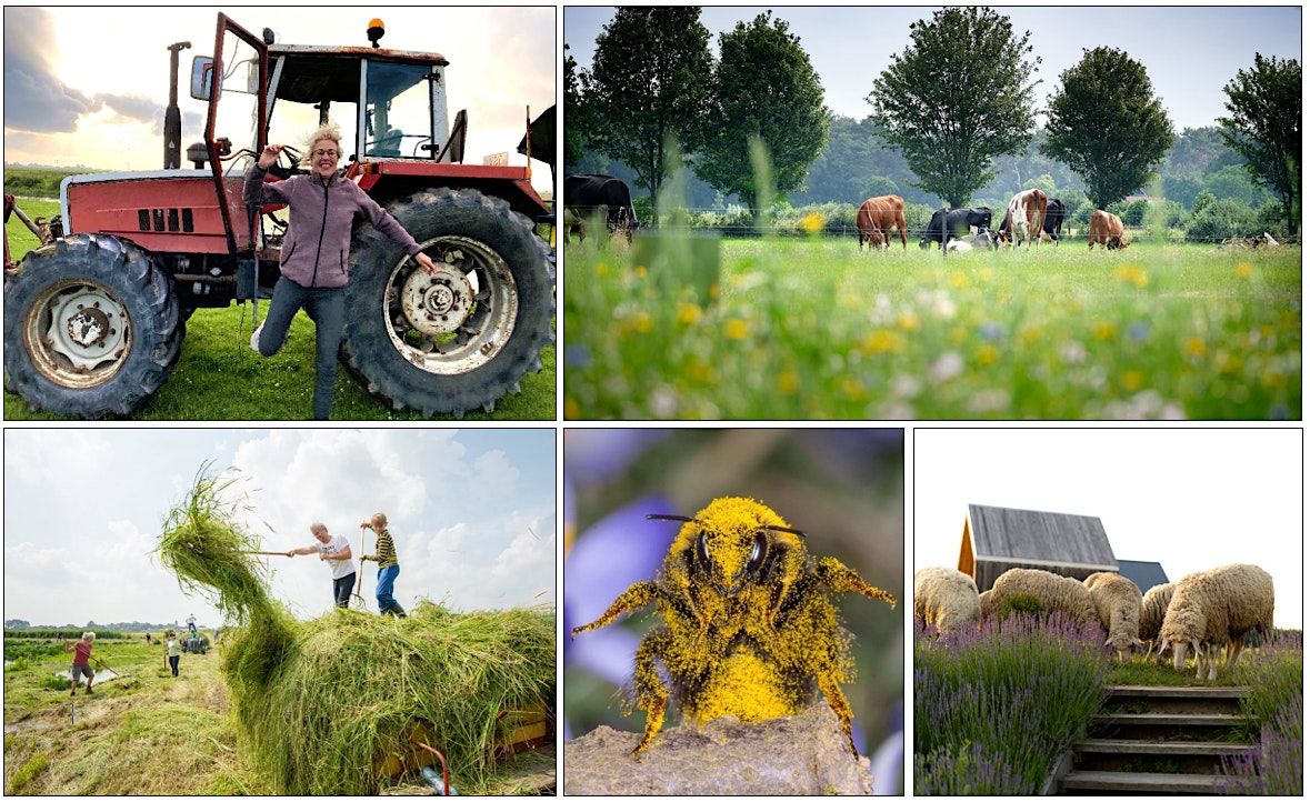 Boer en Biodiversiteit 2.0: workshop & boerderijbezoek