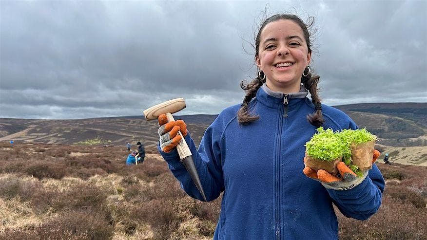 Sphagnum Moss Planting in Goyt Valley area, Derbyshire - Fri 14th November