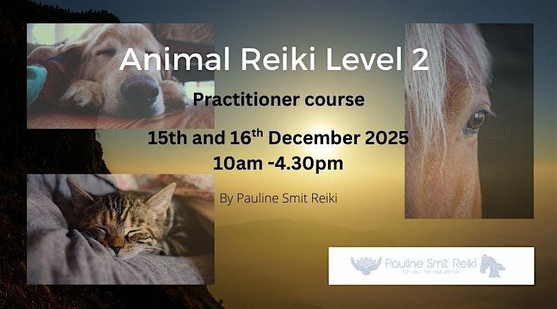 Animal Reiki  level 2 (practitioner) (2 days)