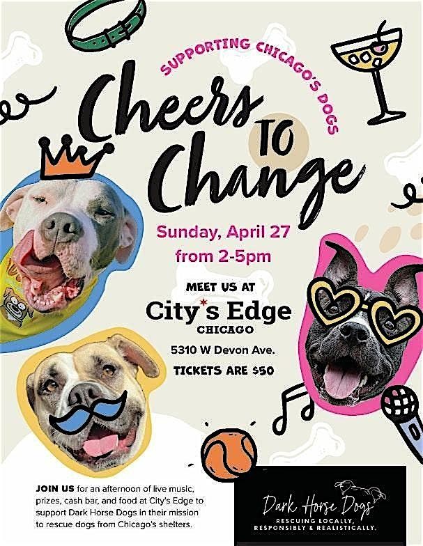 Cheers to Change: Supporting Chicago Dogs