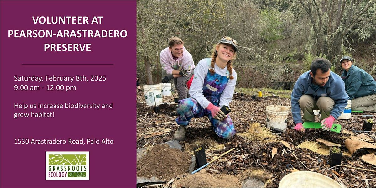 Volunteer Outdoors in Palo Alto at Pearson-Arastradero Preserve